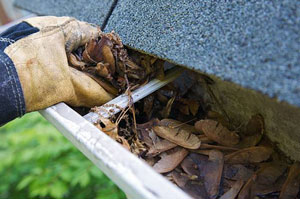 Gutter Cleaning UK