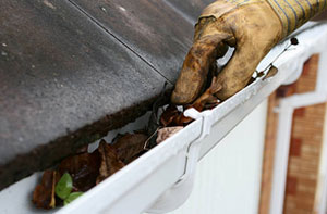 Gutter Cleaning Service Leek