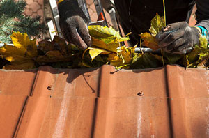 Gutter Cleaning Burnham-on-Sea Somerset