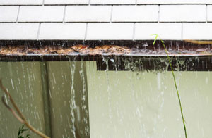 Gutter Clearance Earl Shilton UK