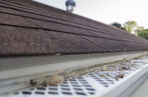 Gutter Guards Cowes Isle of Wight