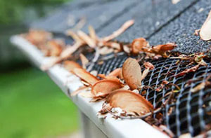 Gutter Guards Ledbury Herefordshire