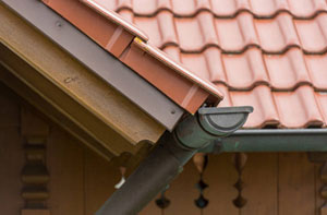 Gutter Maintenance Dorking (01306)