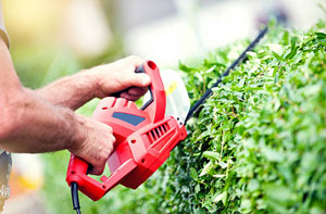 Local Hedge Trimming Services Hedge Trimming Chorley Lancashire