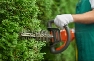 Local Hedge Trimming Services Hedge Trimming Addlestone Surrey