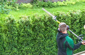 Local Hedge Trimming Services Hedge Trimming Hull East Yorkshire