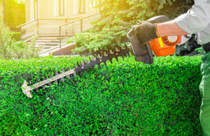Local Hedge Trimming Services Hedge Trimming Barry Wales