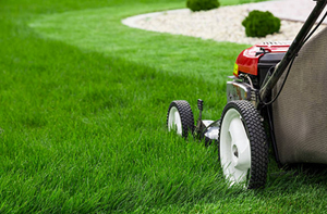 Local Lawn Mowing Services Lawn Mowing Redhill Surrey