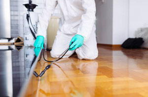 Local Pest Control Services Pest Control Rainham Essex