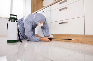 Local Pest Control Services Pest Control Stalybridge Greater Manchester