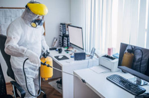 Local Pest Control Services Pest Control Purfleet Essex