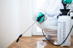 Local Pest Control Services Pest Control Loughborough Leicestershire