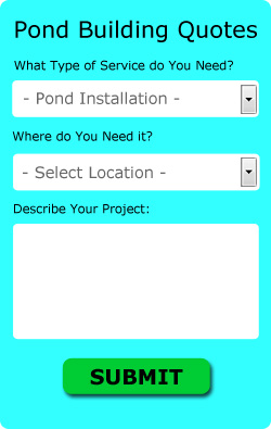 Pond Builders Quotes
