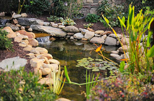 Pond Builders Romford Essex