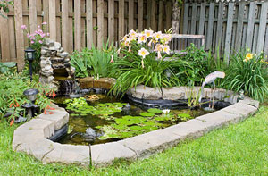 Pond Builders Birkenhead Merseyside