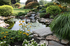 Local Pond Builders Services Pond Builders Horley Surrey