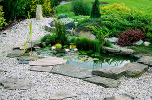 Local Pond Builders Services Pond Builders Ramsgate Kent