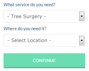 Tree Surgeon Quotes Darlington County Durham (01325)